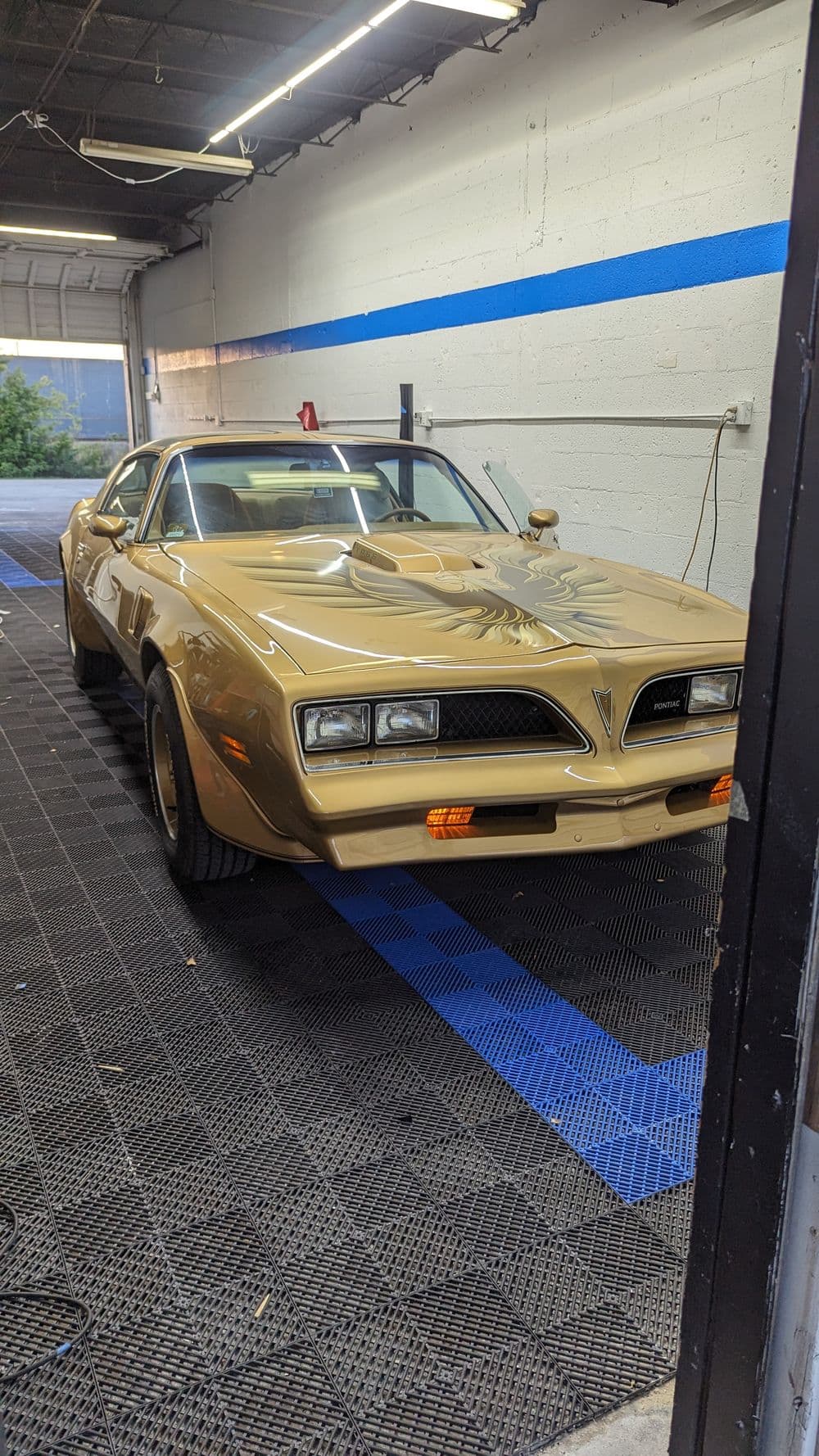 Classic gold Pontiac Trans Am parked in a garage with blue accents on the wall.